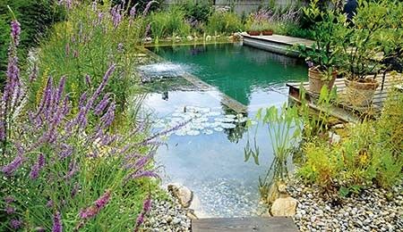 Prírodné bazény